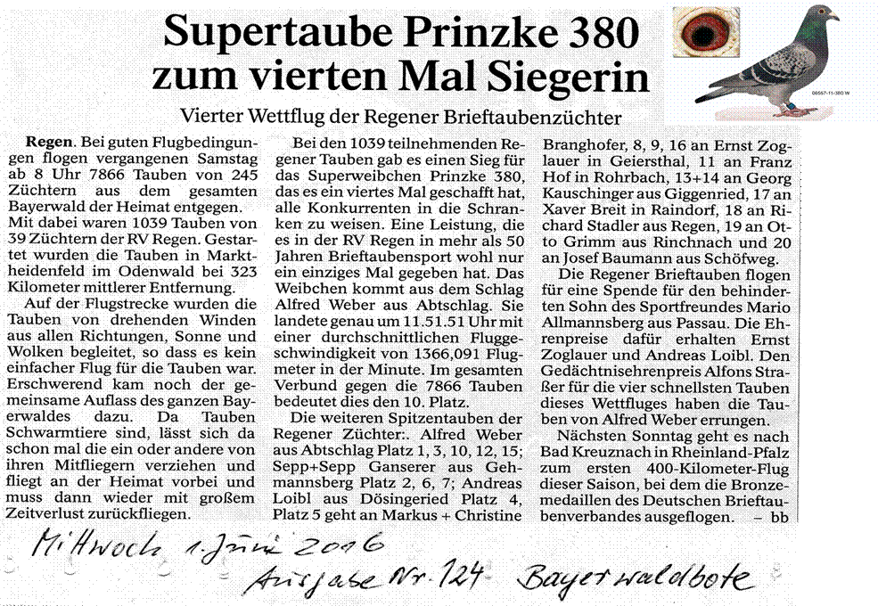 Prinzke 380.jpg,11-380  500.jpg